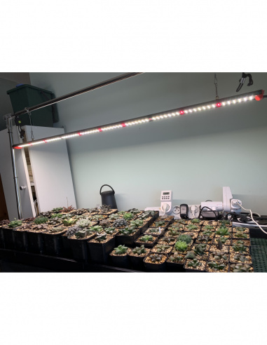 Rail LED ECO U-SPECTRUM 100W - 120cm