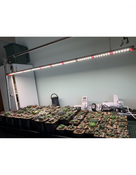 Rail LED ECO U-SPECTRUM 100W - 120cm