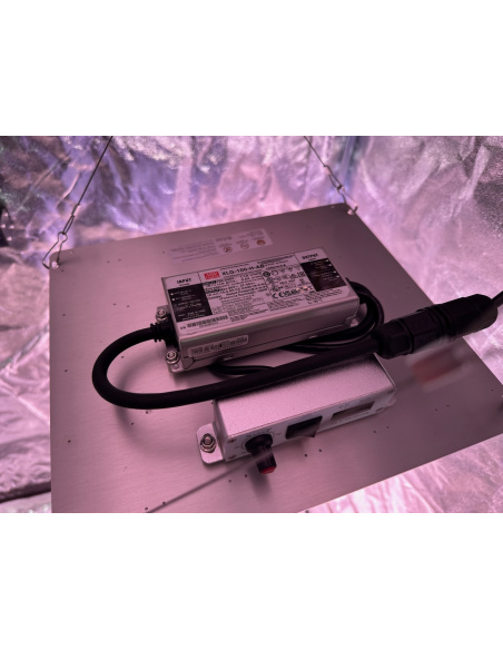 Koray G1000-G19 quantum board 3 umol/j - pur flo