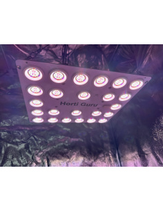 Koray G1000-G24 quantum board 3 umol/j - cro/flo