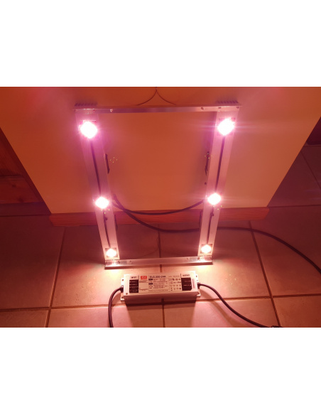 Lampe LED V6F (Floraison Compatible Croissance) 120W 24V 6 spots pour box 60x60