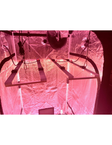 Exemple: 2 lampes de 200W, en tout 400W de V4 dans une box de 1x1m