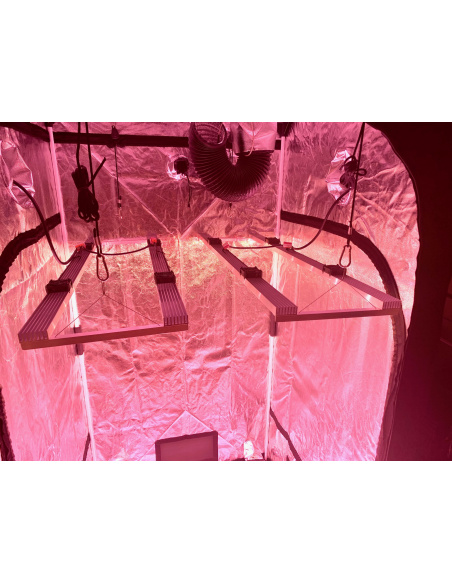 Exemple: 2 lampes de 200W, en tout 400W de V4 dans une box de 1x1m