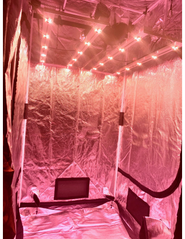 Exemple: 2 lampes de 200W, en tout 400W de V4 dans une box de 1x1m