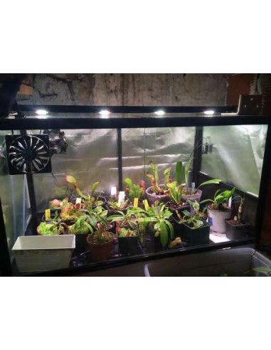 Rail 4 spots passif 80cm 40W V5TC