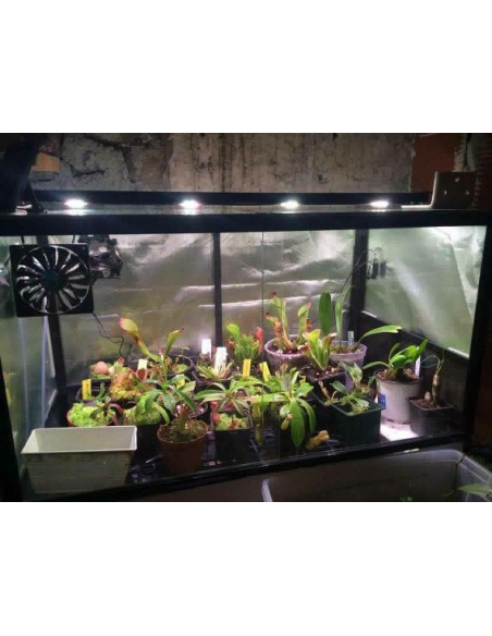 Rail 4 spots passif 80cm 40W V5TC