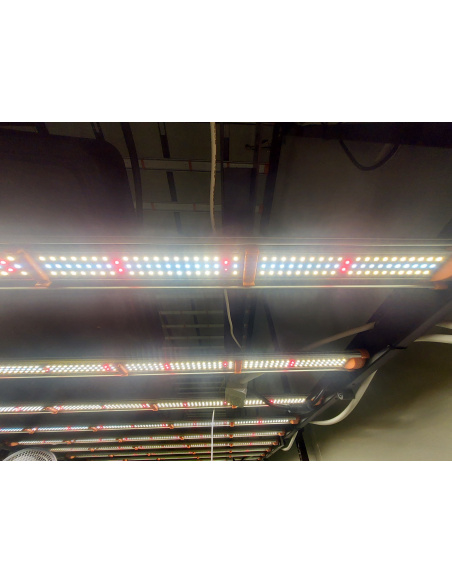 Panneau LED U-SPECTRUM 650W 110x110cm