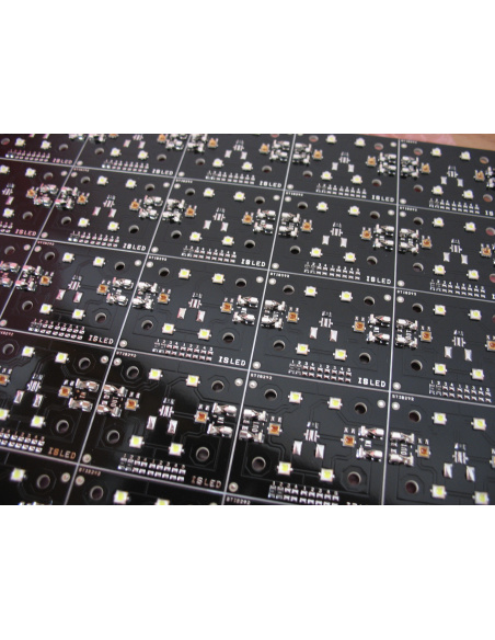 6 LEDs V5Tc Blanc horticole/ Croissance (exV2.3)